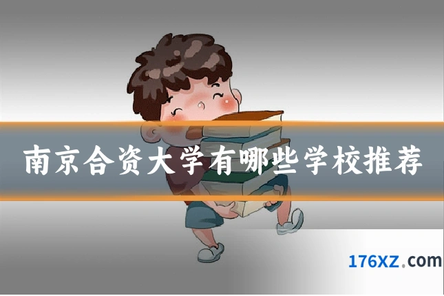 南京合资大学有哪些学校推荐