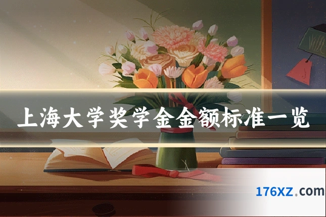 上海大学奖学金金额标准一览