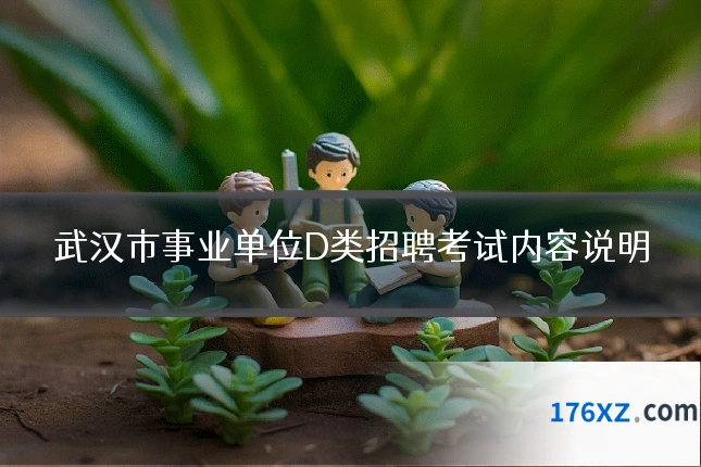 武汉市事业单位D类招聘考试内容说明