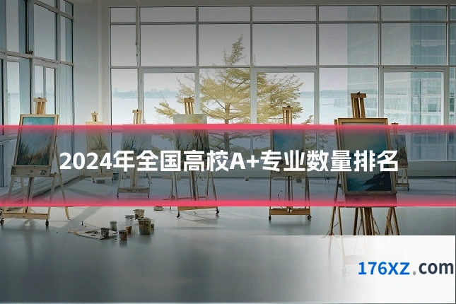 2024年全国高校A+专业数量排名