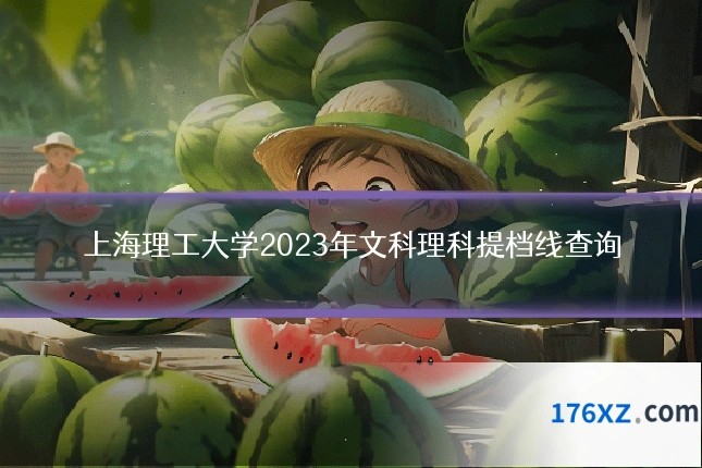 上海理工大学2023年文科理科提档线查询