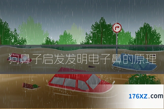 狗鼻子启发发明电子鼻的原理