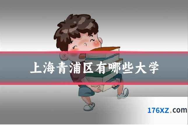 上海青浦区有哪些大学