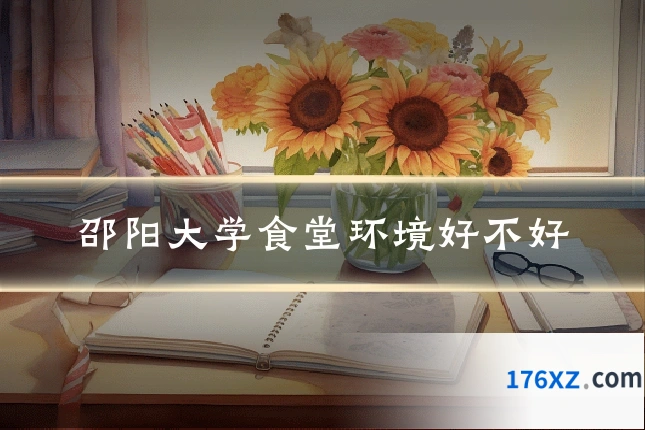 邵阳大学食堂环境好不好