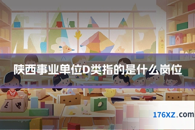陕西事业单位D类指的是什么岗位