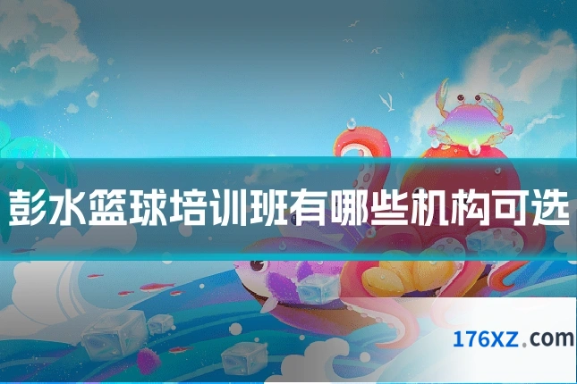 彭水篮球培训班有哪些机构可选