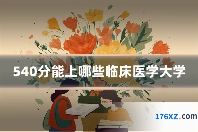 540分能上哪些临床医学大学