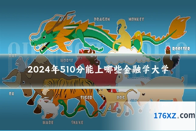 2024年510分能上哪些金融学大学