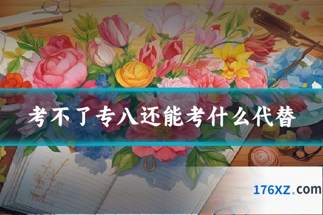 考不了专八还能考什么代替