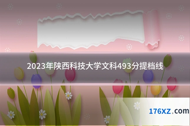 2023年陕西科技大学文科493分提档线
