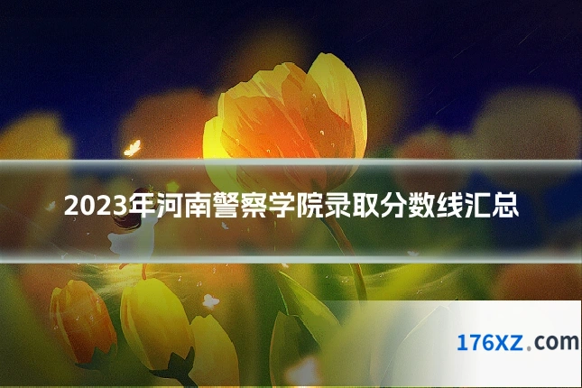2023年河南警察学院录取分数线汇总