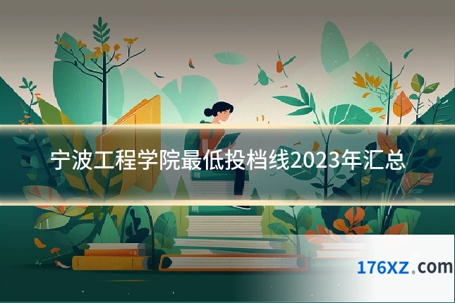 宁波工程学院最低投档线2023年汇总