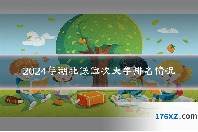 2024年湖北低位次大学排名情况