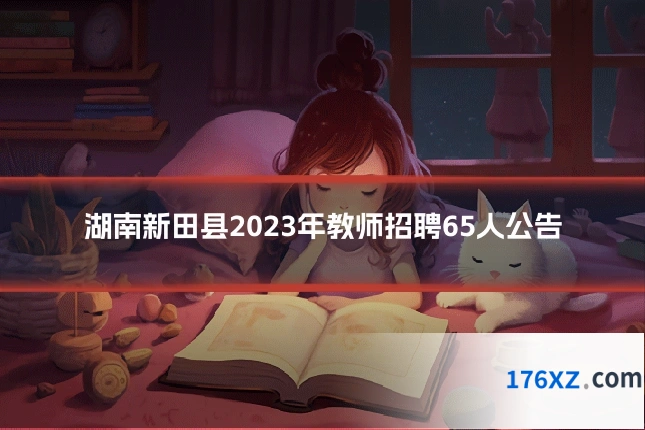 湖南新田县2023年教师招聘65人公告