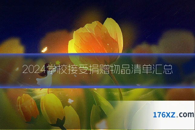 2024学校接受捐赠物品清单汇总