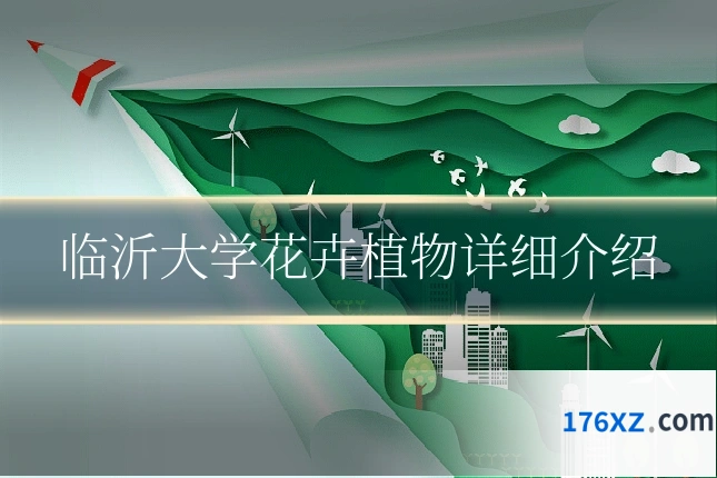 临沂大学花卉植物详细介绍