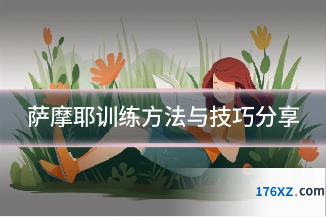 萨摩耶训练方法与技巧分享