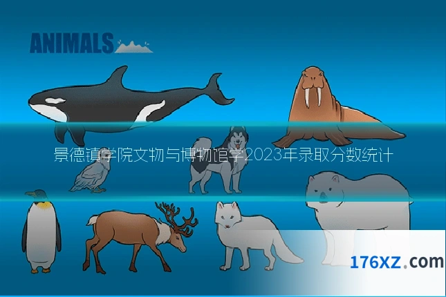 景德镇学院文物与博物馆学2023年录取分数统计