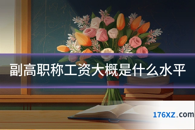副高职称工资大概是什么水平