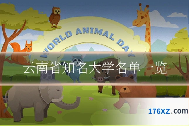 云南省知名大学名单一览