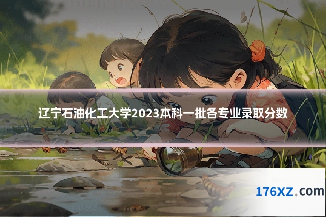 辽宁石油化工大学2023本科一批各专业录取分数