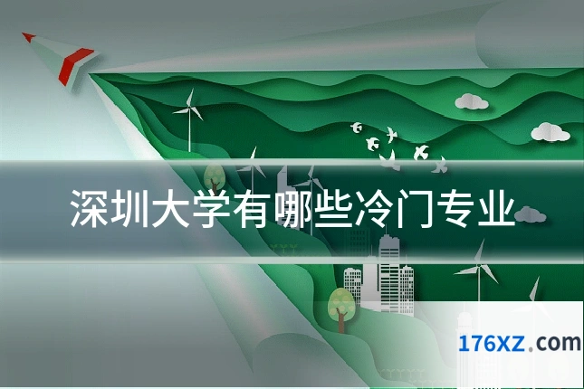 深圳大学有哪些冷门专业