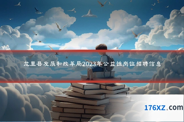 龙里县发展和改革局2023年公益性岗位招聘信息