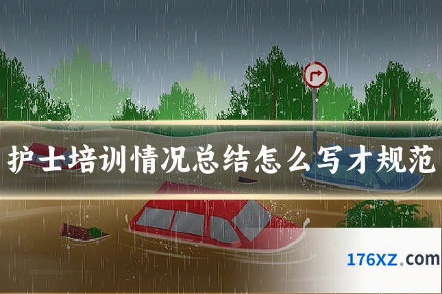 护士培训情况总结怎么写才规范