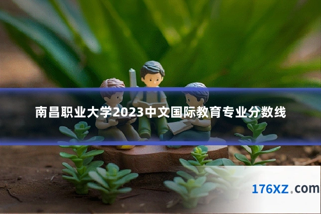 南昌职业大学2023中文国际教育专业分数线