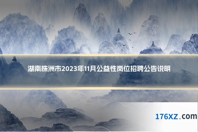 湖南株洲市2023年11月公益性岗位招聘公告说明