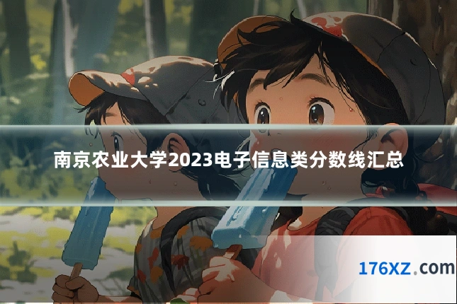 南京农业大学2023电子信息类分数线汇总