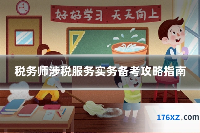 税务师涉税服务实务备考攻略指南