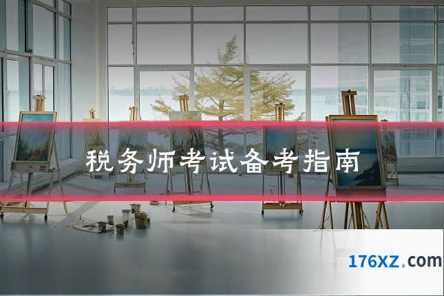 税务师考试备考指南