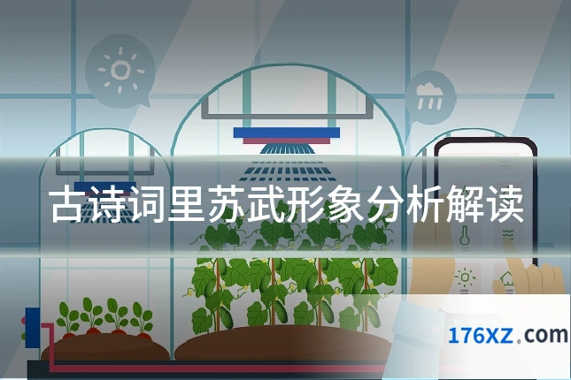 古诗词里苏武形象分析解读