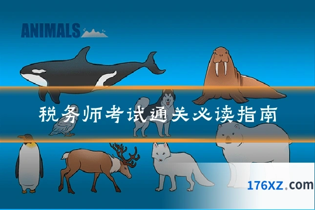 税务师考试通关必读指南