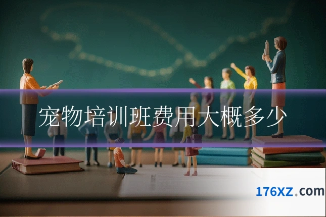 宠物培训班费用大概多少