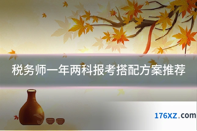税务师一年两科报考搭配方案推荐