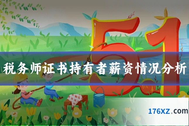 税务师证书持有者薪资情况分析