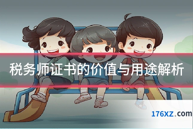 税务师证书的价值与用途解析