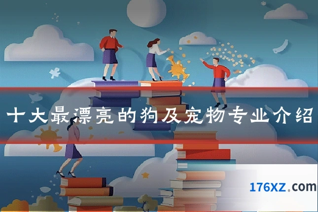 十大最漂亮的狗及宠物专业介绍