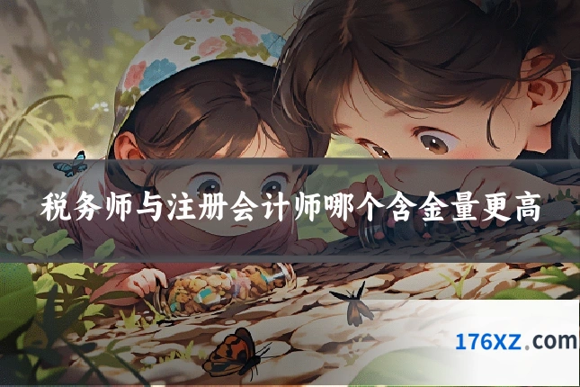 税务师与注册会计师哪个含金量更高