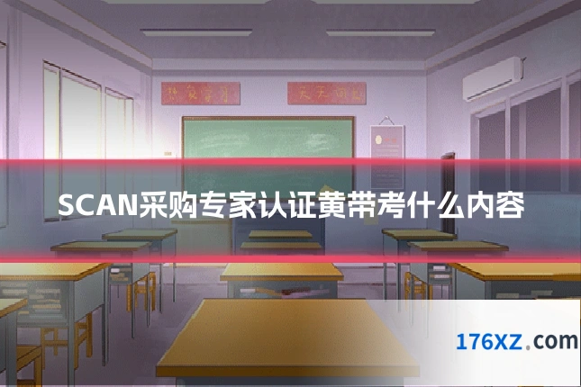 SCAN采购专家认证黄带考什么内容