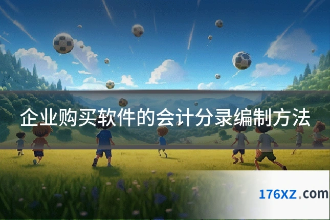企业购买软件的会计分录编制方法