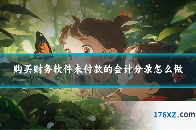 购买财务软件未付款的会计分录怎么做