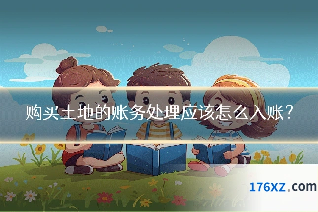购买土地的账务处理应该怎么入账？