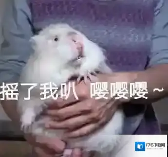 竹鼠活下去好玩吗 竹鼠活下去游戏玩法特色介绍