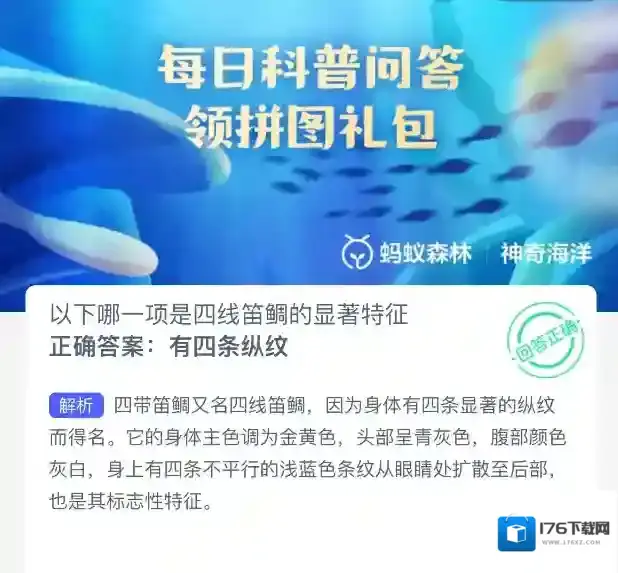 以下哪一项是四线笛鲷的显著特征