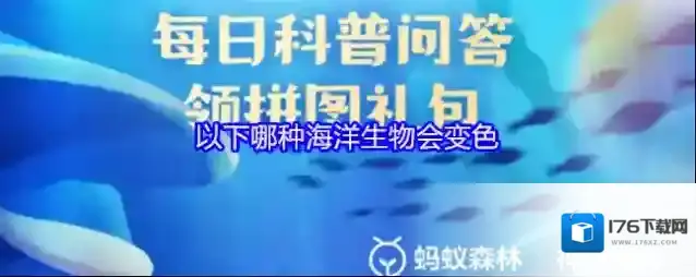 以下哪种海洋生物会变色