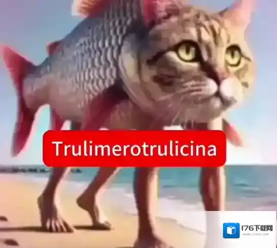 外国山海经角色图鉴大全-外国山海经角色图鉴汇总