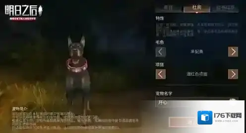 明日之后开局选哪只狗狗好 开局宠物狗选择攻略